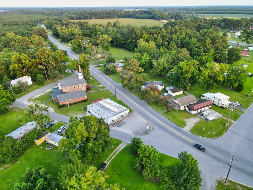 aerial view of green trees and houses during daytime