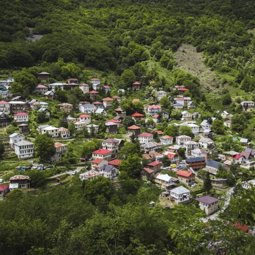 aerial view of houses on green grass field during daytime